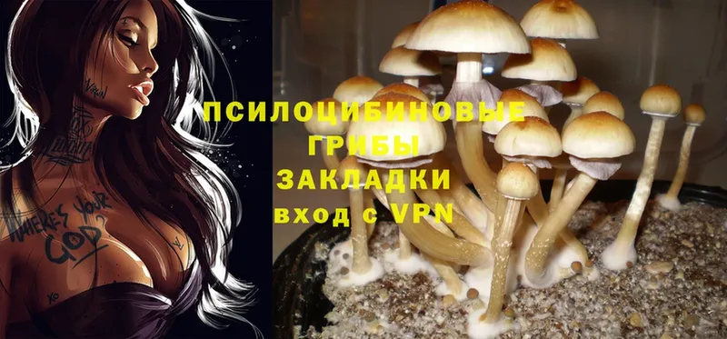 Псилоцибиновые грибы MAGIC MUSHROOMS  маркетплейс официальный сайт  Белозерск 